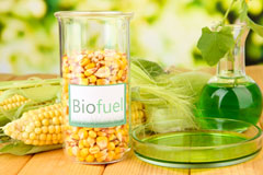 Rosebush biofuel availability